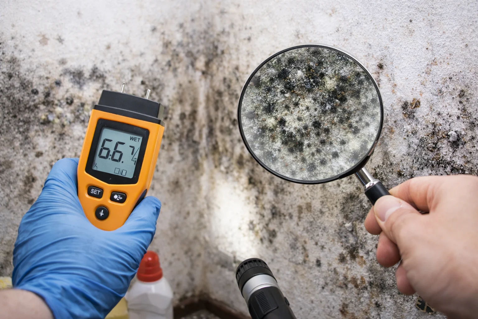 Détection de moisissures sur un mur